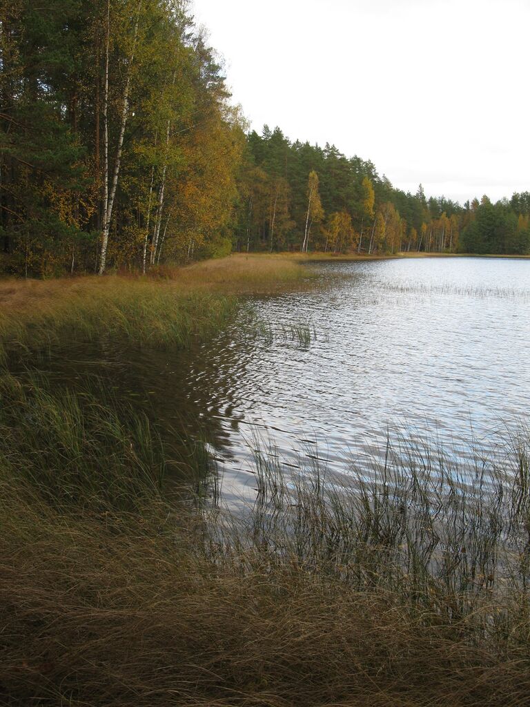 Pikku-Valkee lokakuussa.JPG