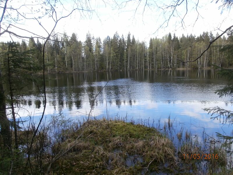 Tiedosto:Puolivalinlampi etelaranta.JPG