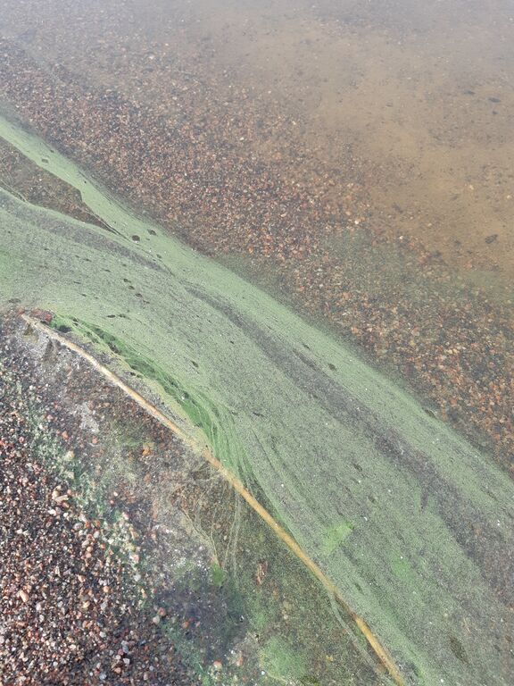 Aurlahti 22 6 22.jpg