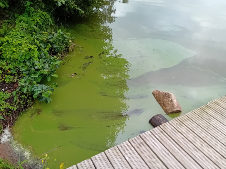 Hiidenvesi (23.031.1.001)-Haudankallio-ObsIMG-202407180731-669919e74d50e.png