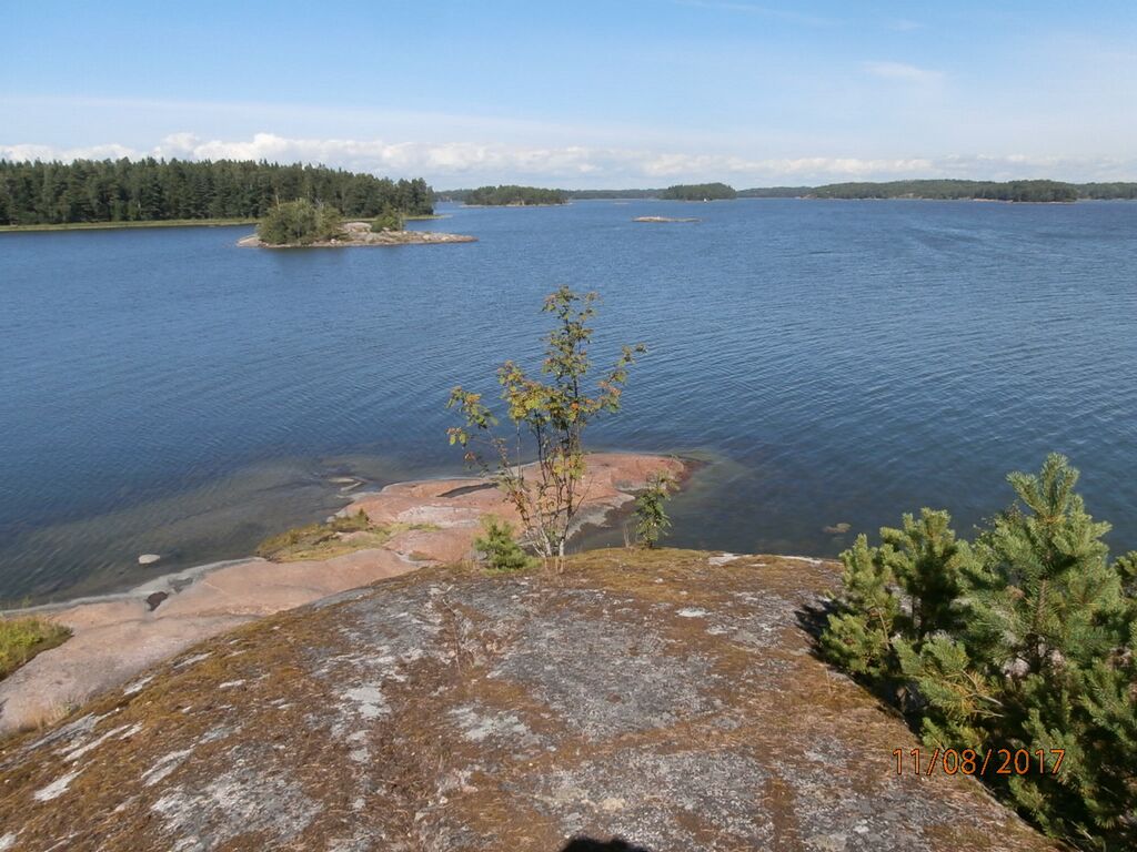 Linlon lahisaari.JPG