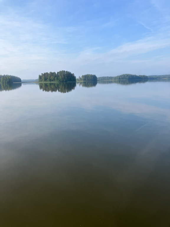 Loppijärvi (35.874.1.001)-Valtakunnallinen sinileväseuranta (Kirkonkylän uimaranta)-ObsIMG-202409040932-66d7ff659a3fd.png