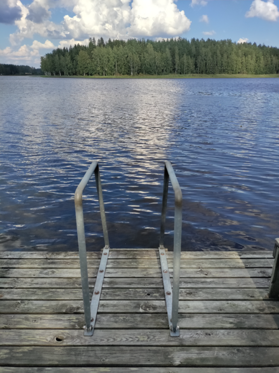 Mommilanjärvi (35.823.1.007)-Rotarien sinileväseuranta (Arponiemi)-ObsIMG-202508041638-1754314943324.png