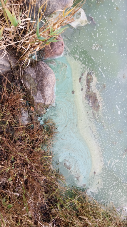 Skaftungin edusta-Havaintopaikka 1-ObsIMG-202308261836-64ea1bd435c3c.png