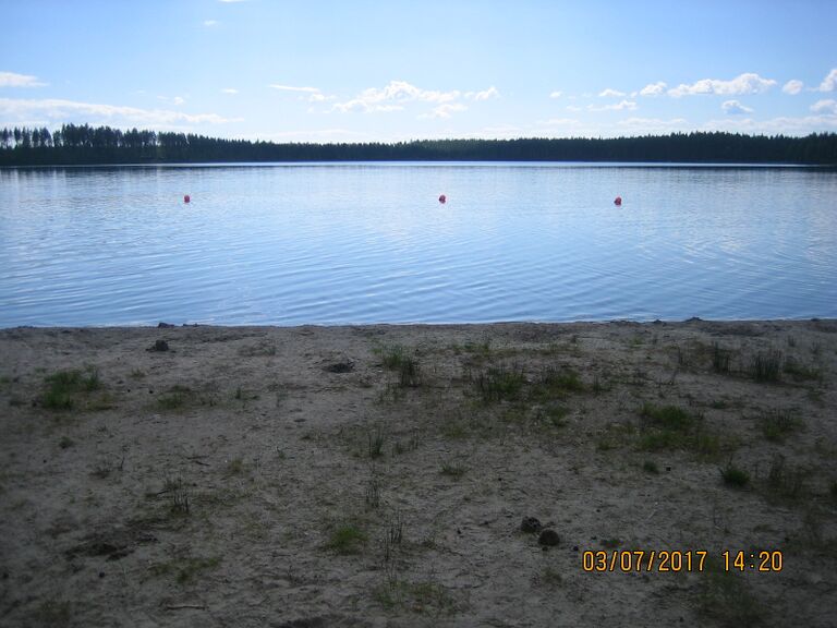 Valkealampi Kontiolahti.JPG