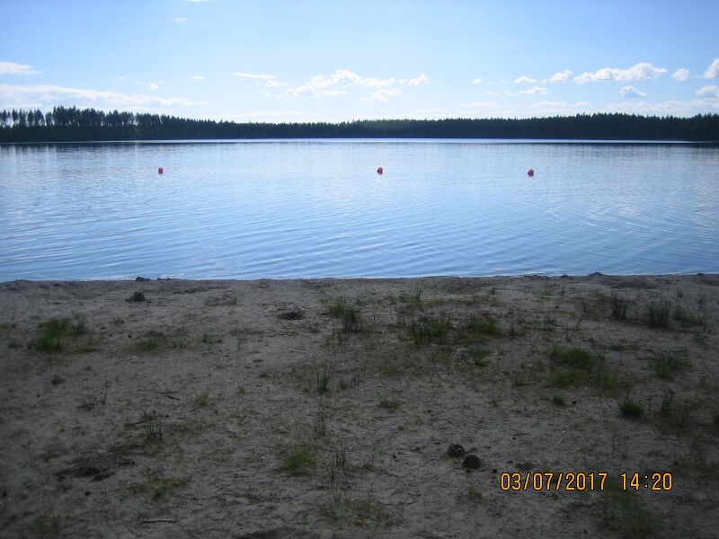 Tiedosto:Valkealampi Kontiolahti.JPG