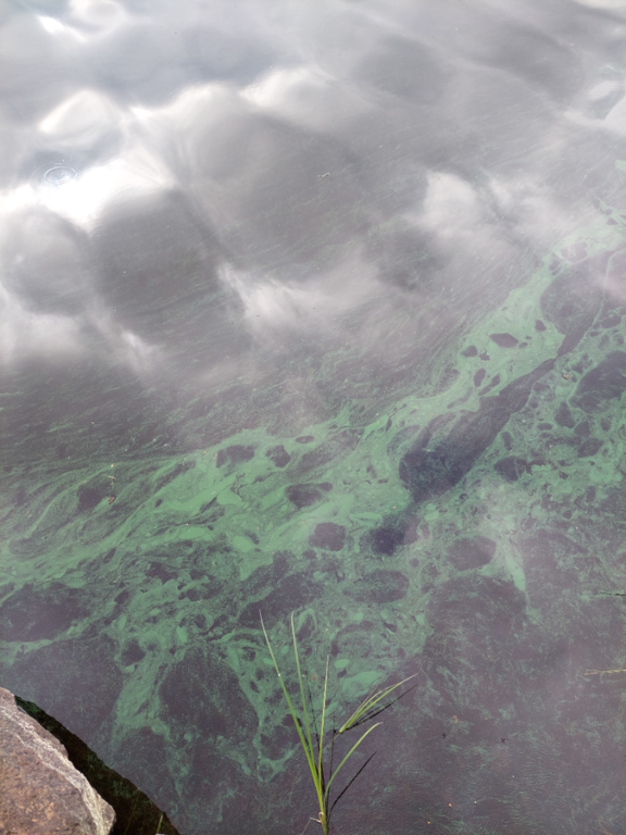 Pääjärvi (14.631.1.001)-Kouheroisentie 99-ObsIMG-202307021812-64a194be5c01d.png