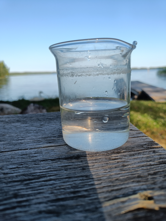 Pyhäjärvi (04.391.1.001)-Tyytiinlahti-ObsALG-202507151845-6876781206e65.png