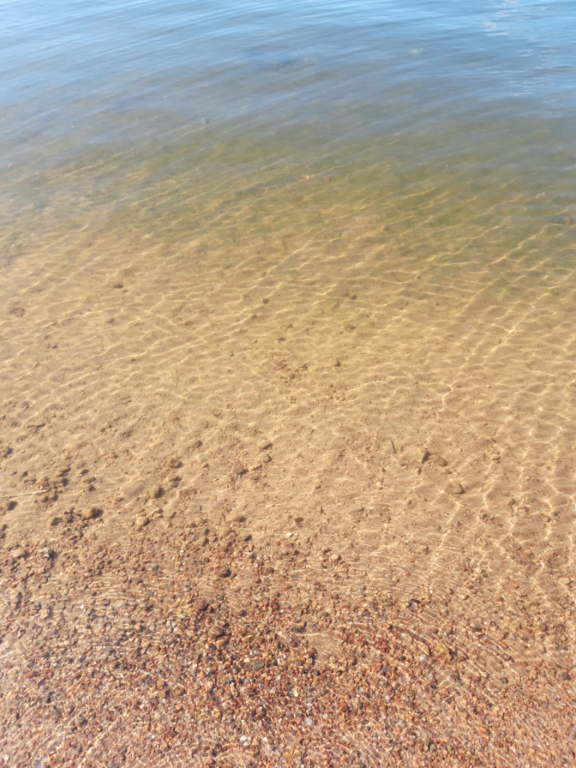 Pyhäjärvi (34.031.1.001)-Valtakunnallinen sinileväseuranta (Katismaan uimaranta)-ObsALG-202109281506-615305d948bd3.png