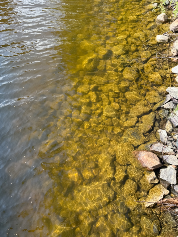 Ukonvesi (Saimaa) (04.151.1.001)-Koivukummunpolku-ObsALG-202306251618-64983eeca2bba.png