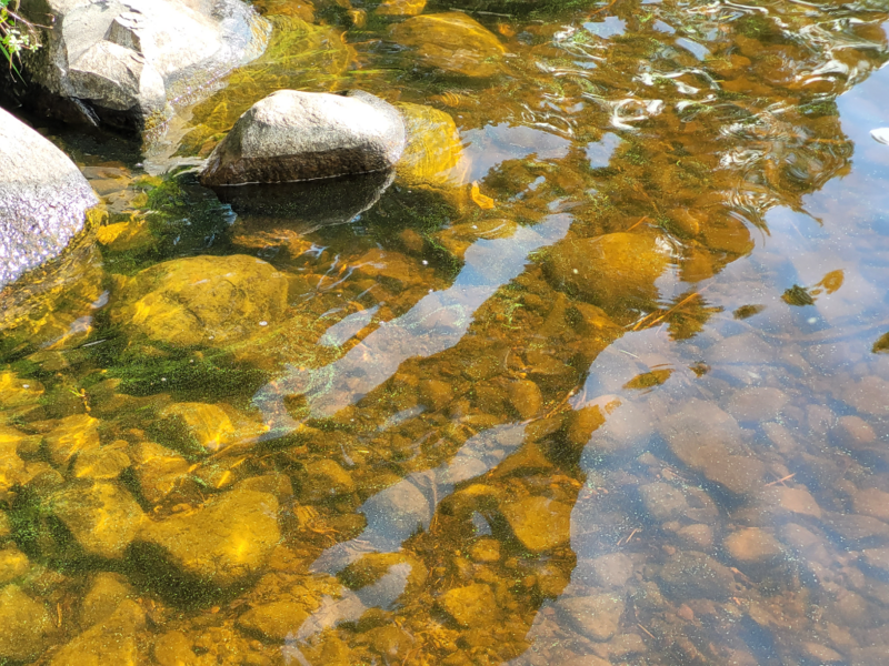 Tiedosto:Alvajärvi (14.481.1.001)-Temola-ObsALG-202307141022-64b0f7cd205b0.png