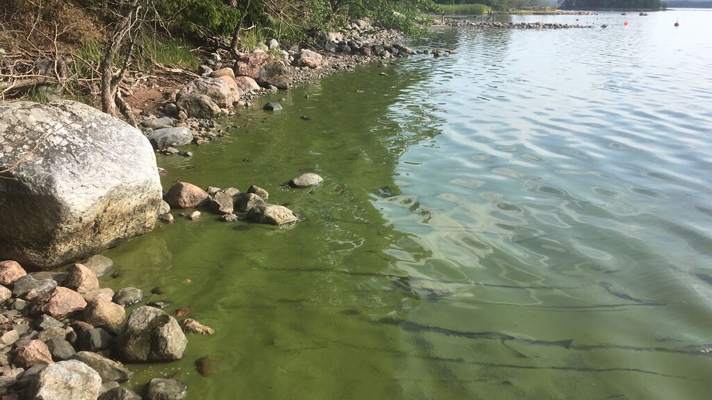 Inkoo Fagervik-Inkoo Skämmö-ObsIMG-201807131012-17.jpeg