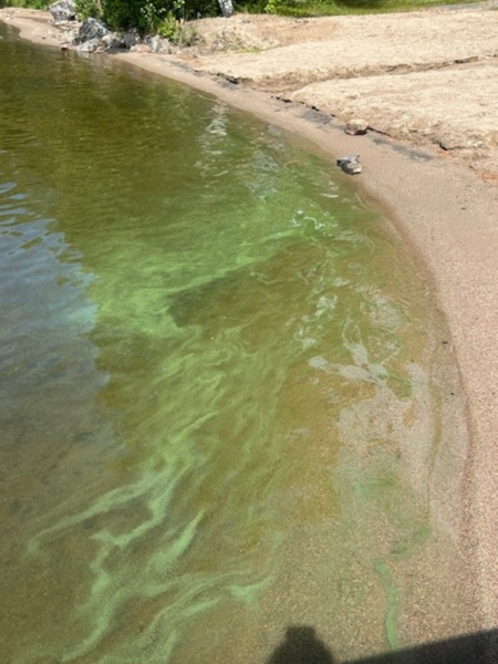 Tiedosto:Kuuhankavesi (14.371.1.001)-Kirkonkylän uimaranta-ObsIMG-202507020946-686b6ed038601.png