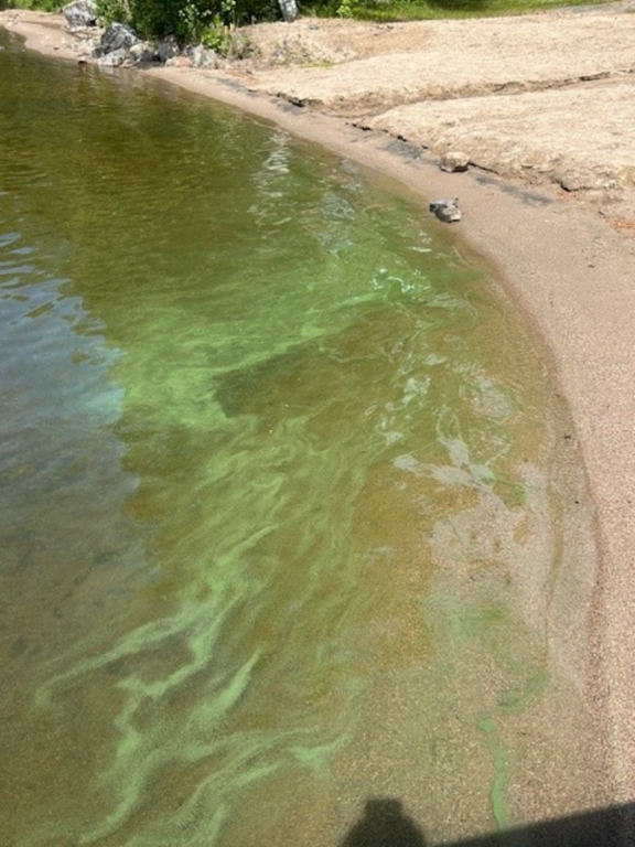 Kuuhankavesi (14.371.1.001)-Kirkonkylän uimaranta-ObsIMG-202507020946-686b6ed038601.png