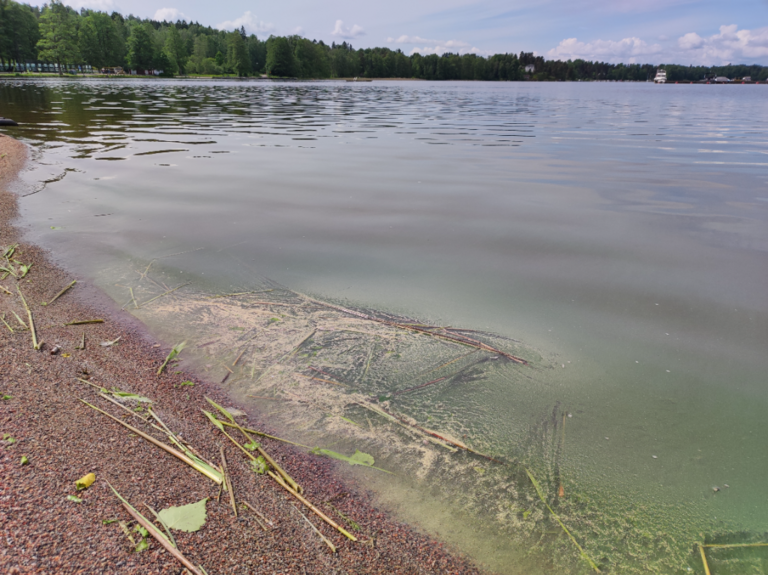 Lohjanjärvi (23.021.1.001)-Valtakunnallinen sinileväseuranta (Aurlahden uimaranta)-ObsIMG-202206141125-62a84e088f2cb.png