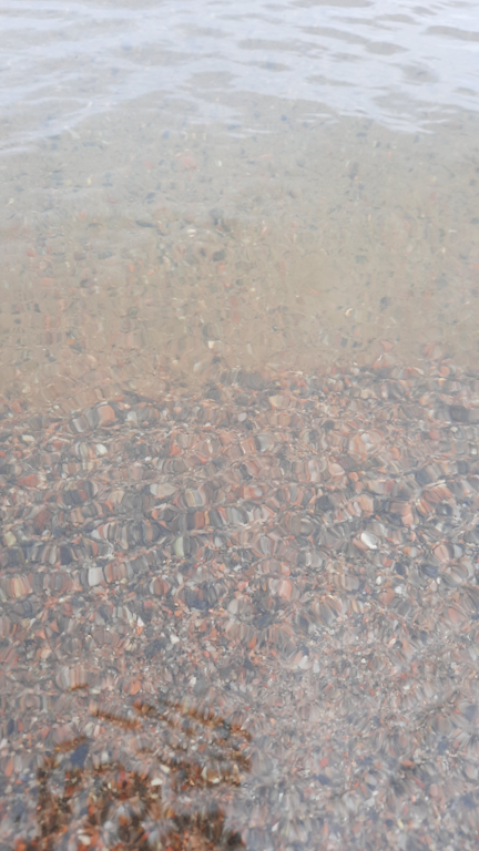 Päijänne (yhd.)-Valtakunnallinen sinileväseuranta (Asikkalanselkä, Kuotaan uimaranta)-ObsIMG-202107201049-60f68031a5319.png