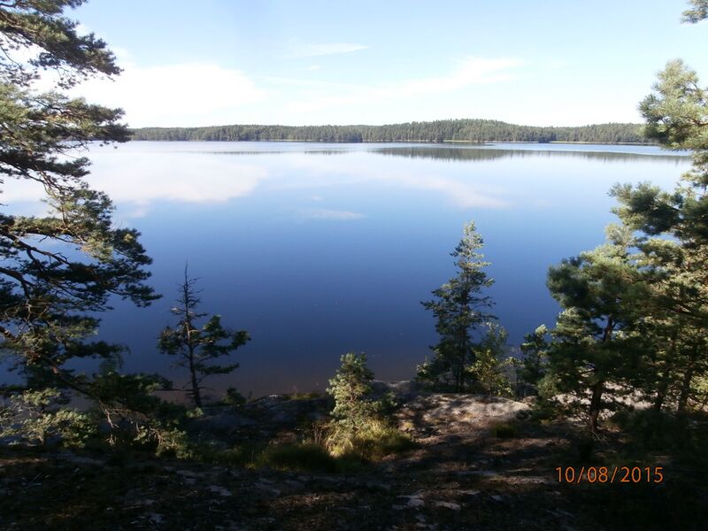 Tiedosto:Seljänalanen 1.JPG