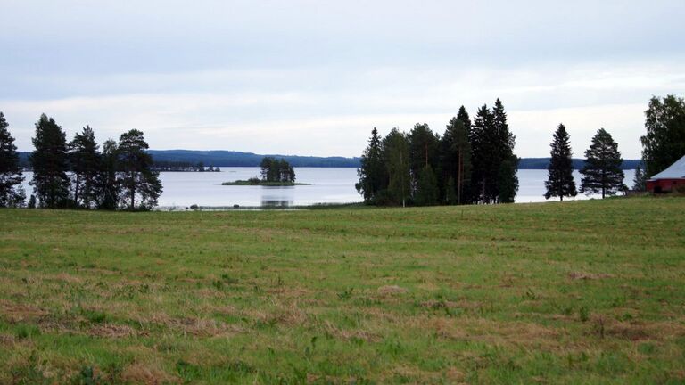 Summanen-ykspuinen.JPG
