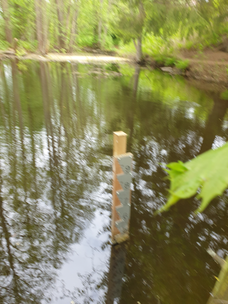 Tiedosto:Urpolanjoen valuma-alue (04.152)-Urpolan aarimaan puistoväylän silta-ObsIMG-202505281133-1748421264059.png