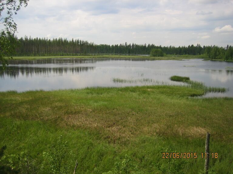 Isojarven nakotornista.JPG