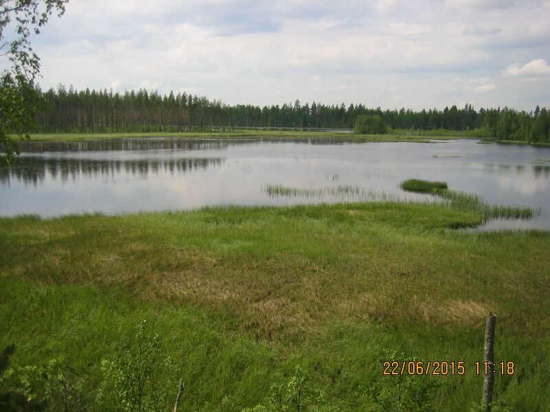 Tiedosto:Isojarven nakotornista.JPG