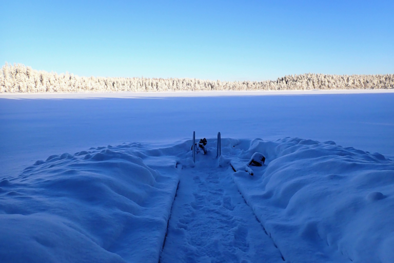 Lokkilampi (04.488.1.007)-Havaintopaikka 1-ObsIMG-202302041326-63de40db58321.png