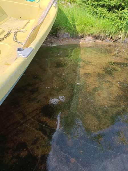 Tiedosto:Mallinkaistenjärvi (35.825.1.005)-Koivuranta-ObsIMG-202407251153-66a212e66fd60.png