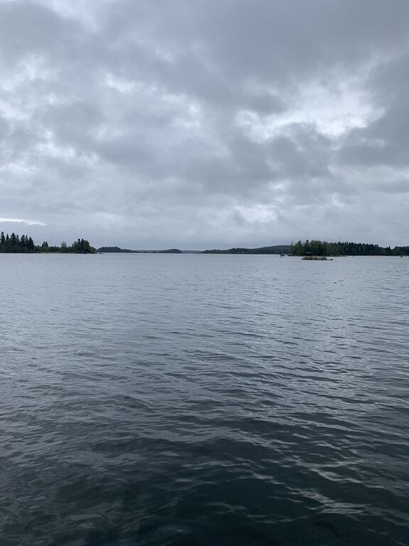 Monåfjärden-Kalotfjärden-Norra Heplotan, itäranta-ObsIMG-202009120934-77.jpg
