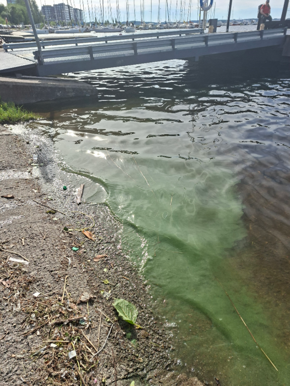 Näsijärvi (yhd.)-Tampella-ObsIMG-202507012020-686419912b490.png