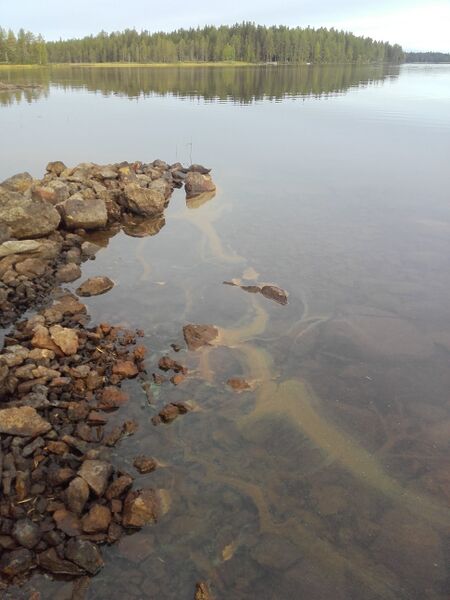 Tiedosto:20180901 080151.jpg