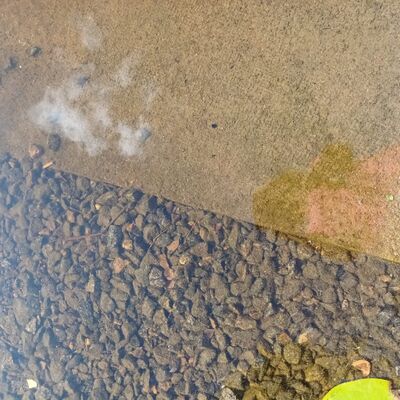 Iso Lano 20230725.jpg