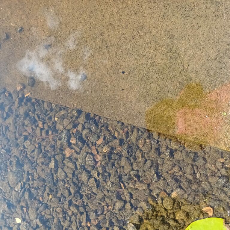 Iso Lano 20230725.jpg