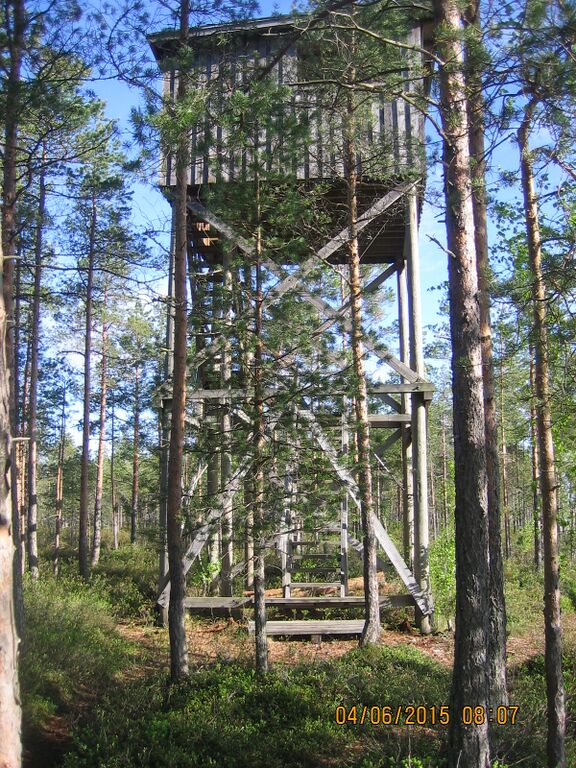 Jokisuunlahden lintutorni Evijarvi.JPG