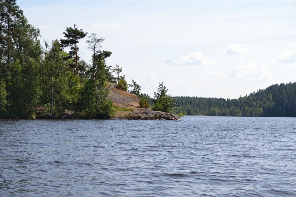 Kotajärvi Hirvikallio.JPG