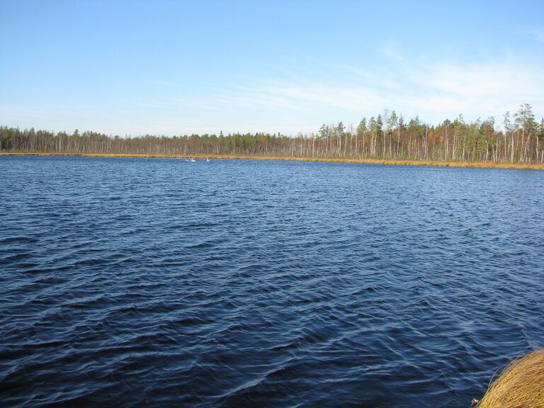 Miehojärvi.JPG
