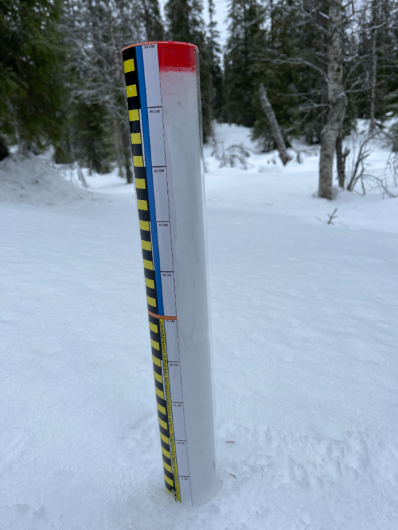 Pallasjärven valuma-alue (65.652)-pallas-ObsSNOW-202603251022-69c39c2fdfc8f.png