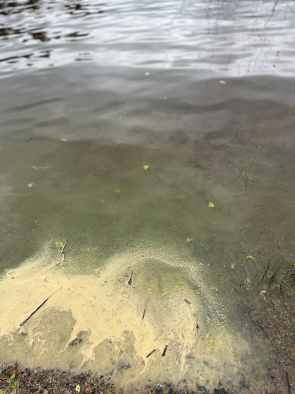 Pienivesi (14.917.1.002)-Havaintopaikka 5-ObsALG-202506301424-6862747f84d37.png