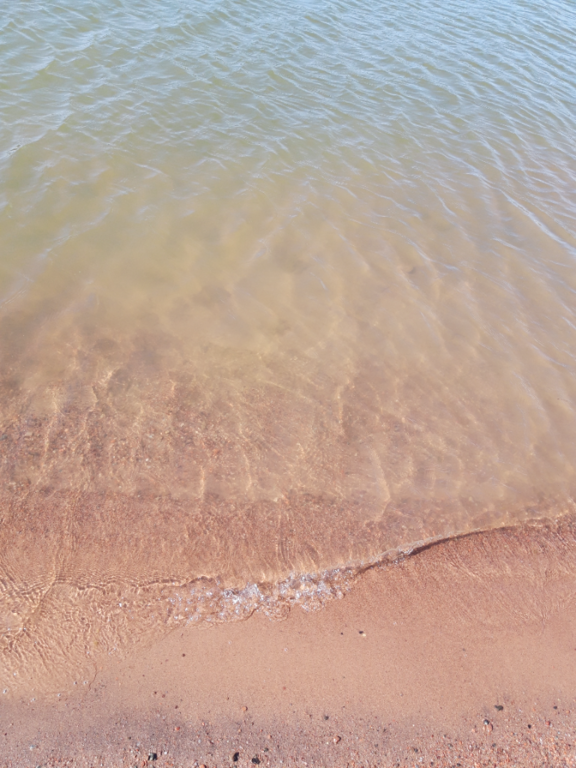 Pyhäjärvi (34.031.1.001)-Valtakunnallinen sinileväseuranta (Katismaan uimaranta)-ObsALG-202306131614-64886c0b7b466.png