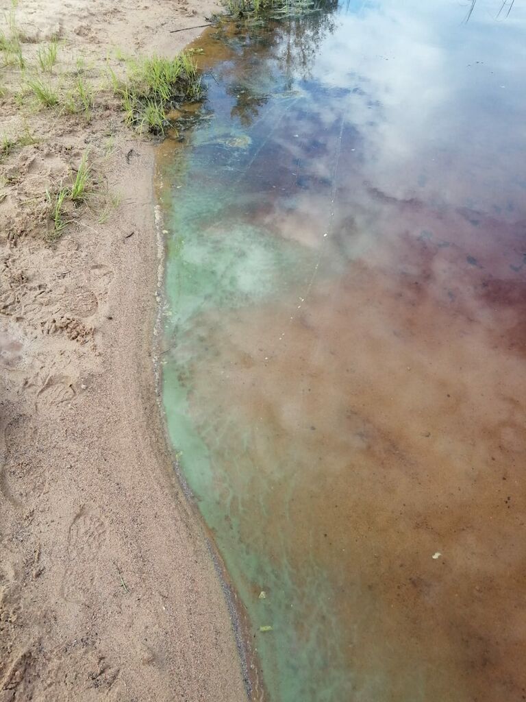 Utajärven lähialue (59.221)-Siiransaari uimaranta-ObsIMG-202007201745-48.jpg