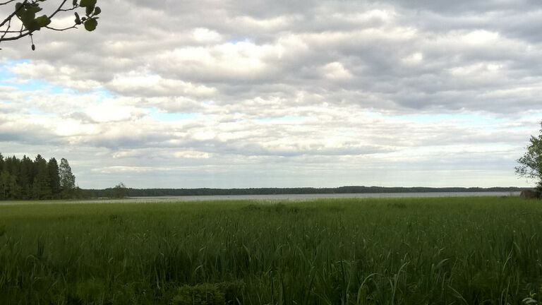 WP 20150609 18 10 06 Pro.jpg