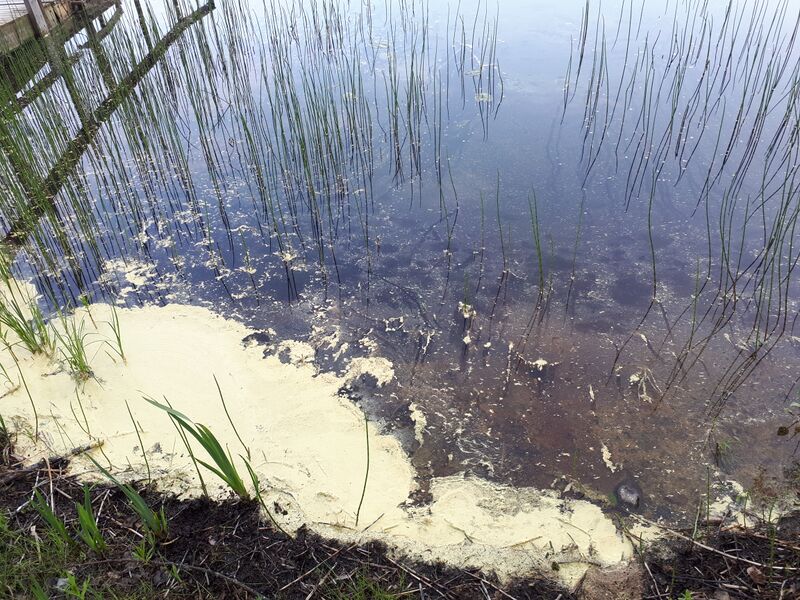 Tiedosto:20250610 092643.jpg