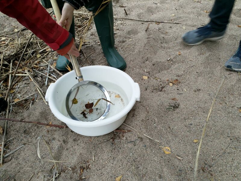 Tiedosto:Håv i malmnäs strand.jpg