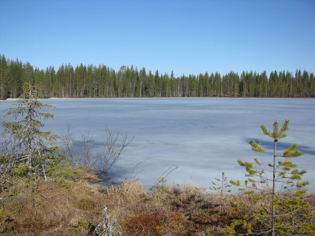 IMG 0274 muokattu.jpg