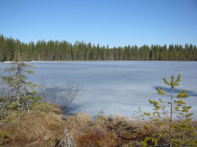 IMG 0274 muokattu.jpg