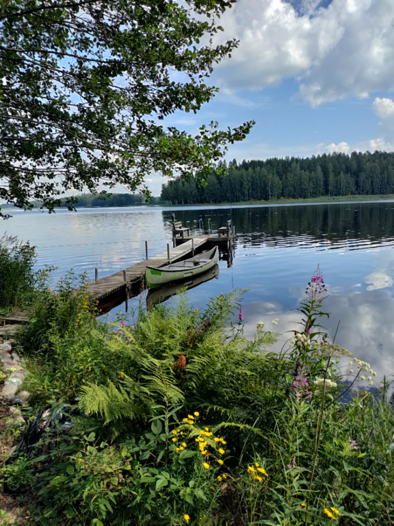 Mommilanjärvi (35.823.1.007)-Rotarien sinileväseuranta (Arponiemi)-ObsIMG-202507281045-1753689074480.png