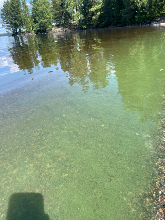 Näsijärvi (yhd.)-Kaupinoja-ObsIMG-202507091350-686e49f6c1589.png