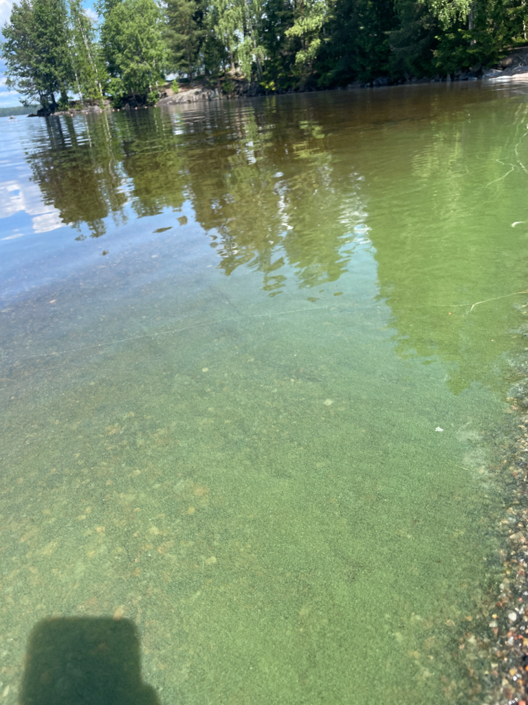 Näsijärvi (yhd.)-Kaupinoja-ObsIMG-202507091350-686e49f6c1589.png