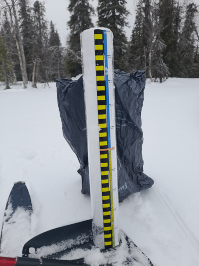 Pallasjärven valuma-alue (65.652)-Pallas-ObsSNOW-202603251003-69c3974756b3e.png