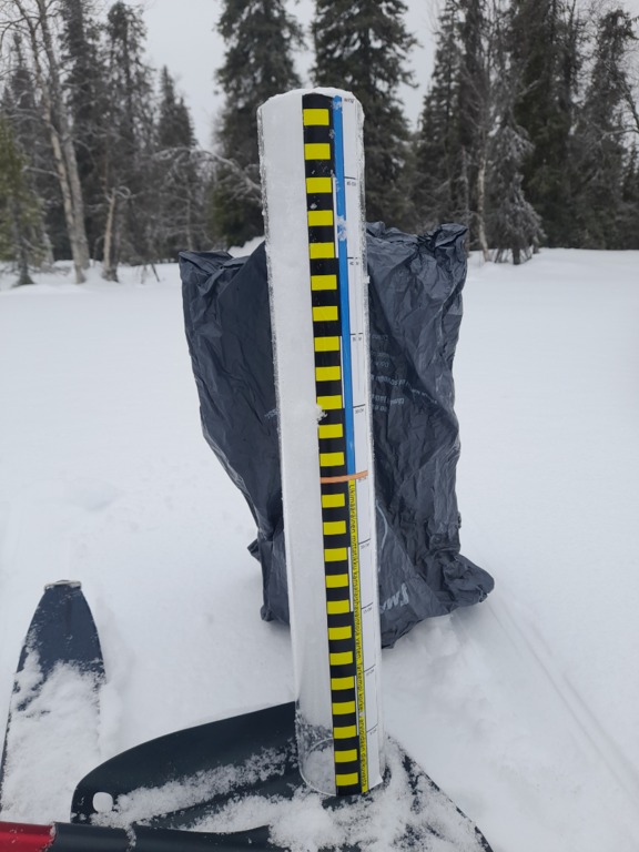 Pallasjärven valuma-alue (65.652)-Pallas-ObsSNOW-202603251003-69c3974756b3e.png