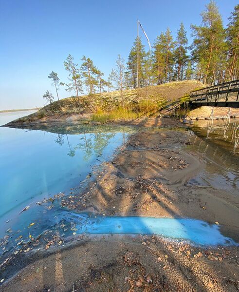 Tiedosto:Saimaa (04.112.1.001)-Harvio Länsiranta Oratinniemi, runsaasti sinilevää-ObsIMG-202009291302-14.jpeg